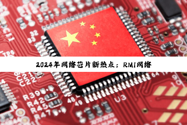 2024年网络芯片新热点：RMI网络交换芯片技术突破与市场展望