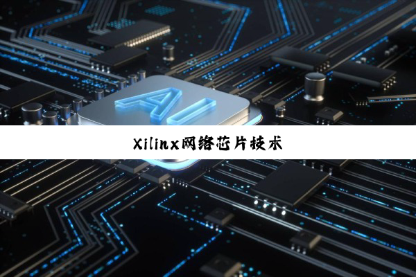 Xilinx网络芯片技术