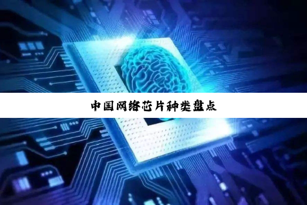 今日科普|中国网络芯片种类盘点
