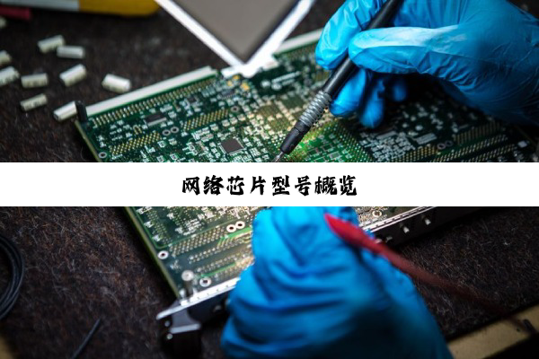 今日科普|网络芯片型号概览