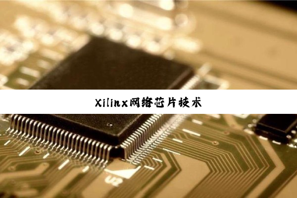Xilinx网络芯片技术