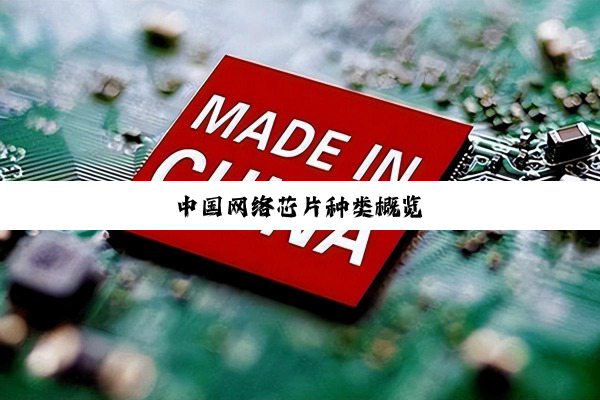 中国网络芯片种类概览