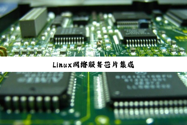 今日科普|Linux网络服务芯片集成