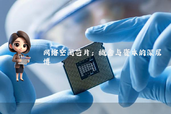 网络空间芯片：概念与资本的深层博弈