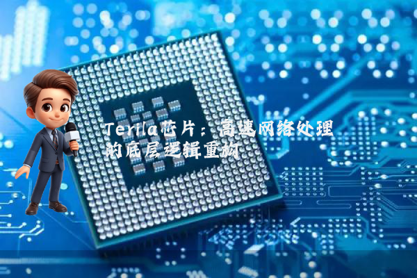 Terila芯片:高速网络处理的底层逻辑重构