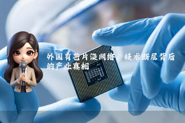 外国有芯片没网络:技术断层背后的产业真相